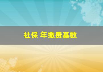 社保 年缴费基数